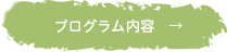 プログラム内容