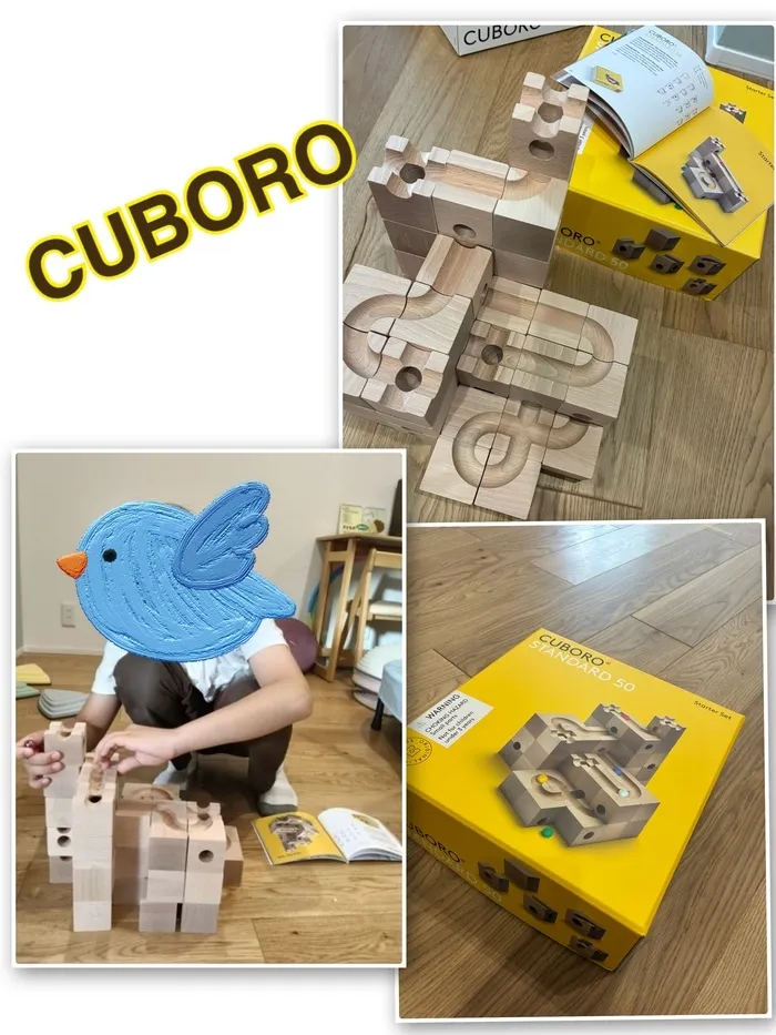 わくわくおもちゃ図鑑【cuboro編】🧮