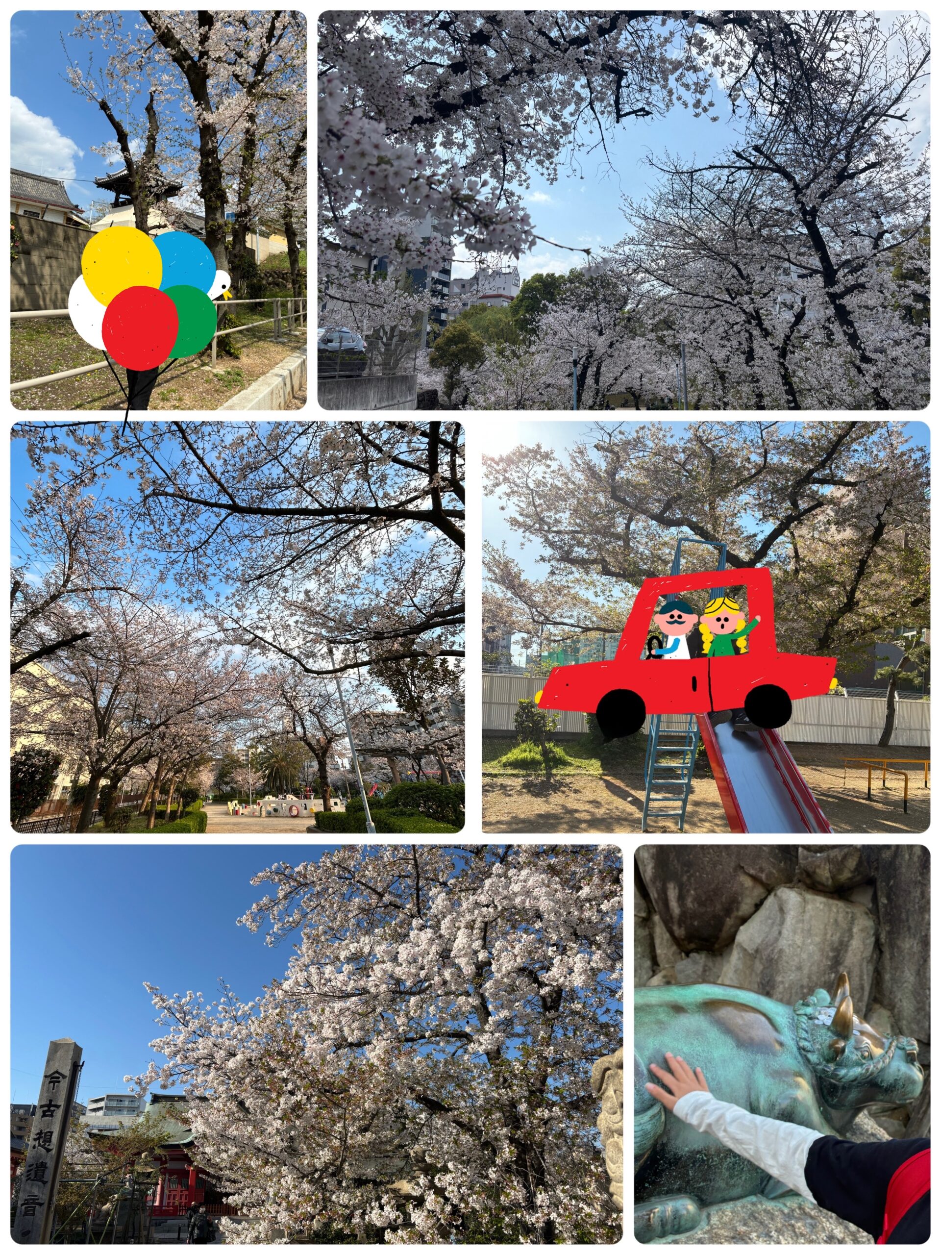 🌸「春見つけ」満開の桜に包まれて🫧